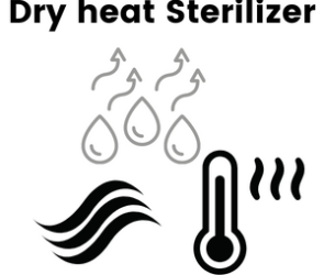 Pharmaceutical dry heat sterilizer